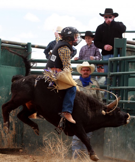 Mini Bull Riding